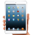 iPad Mini