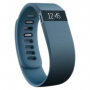 Fitbit FB404SLL Charge Pulsera actividad TL Slate