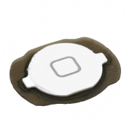 Boton Home Ipod Touch 4 Generacion Blanco
