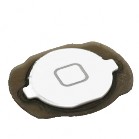 Boton Home Ipod Touch 4 Generacion Blanco