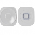 Boton Home Apple iPod Touch 5 Blanco