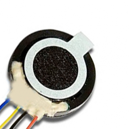 Buzzer + Auricular LG 450