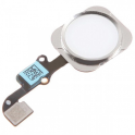 Cable Flex + boton Home Sensor de Huellas iPhone 6 / 6+ Blanco
