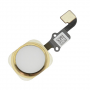 Cable Flex + boton Home Sensor de Huellas iPhone 6 / 6+ Oro