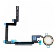 Cable Flex Boton Home iPad Mini 3 dorado