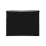 Display Apple iPad 2