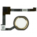 Flex boton home blanco-dorado iPad Air 2
