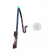 Flex Boton Home iPad 4 SWAP