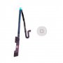 Flex Boton Home iPad 4 SWAP