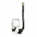 Flex Membrana Boton Home + Lector ID Huella iPhone 5S / SE Blanc