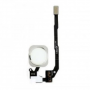 Flex Membrana Boton Home + Lector ID Huella iPhone 5S / SE Blanc