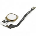 Flex Membrana Boton Home + Lector ID Huella iPhone 5S / SE Oro