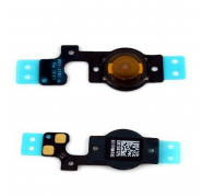 Flex Membrana Boton Home iPhone 5C