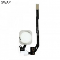 Flex Membrana Boton Home iPhone 5S/ SE Blanco SWAP