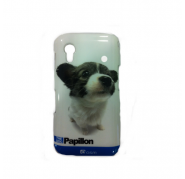 Papillon Puppy Plastic Case Samsung s5830 Papillon Puppy Plastic Case Samsung s5830