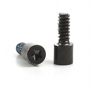 Kit 2 tornillos inferiores iPhone 5C