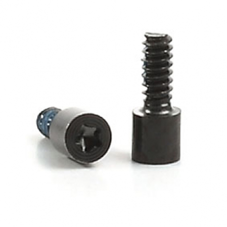 Kit 2 tornillos inferiores iPhone 5C