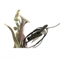 Kit de Cables Sharp LC-55CUF8472ES SWAP