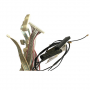 Kit de Cables Sharp LC-55CUF8472ES SWAP