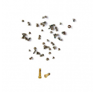 Kit Tornillos Conector Dock iPhone 5S Oro